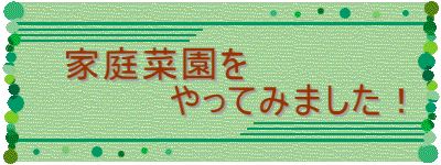 　家庭菜園を 　　　　　やってみました！